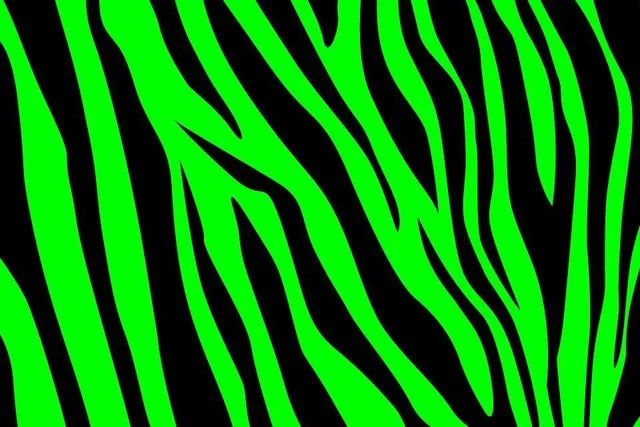 Store 2 — Jungle Toys